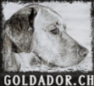 (c) Goldador.ch